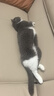 欢宠网宠物狗毛猫毛清理器强力吸尘器吸毛器吸床上猫咪毛发专用电动神器 实拍图