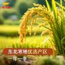 笑脸塑料袋笑脸袋一次性袋子手提购物袋透明外卖打包袋方便袋 20*32笑脸塑料袋【50只】 实拍图