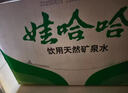 娃哈哈饮用天然矿泉水596ml*24瓶 长白山整箱装小瓶装水 哇哈哈饮用水 实拍图