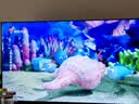 TCL雷鸟电视55英寸雀4 144Hz高刷 2+32GB 无开机广告 自定义遥控器 电视55F270C-JN 实拍图