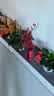 欧妮姿乔迁之喜搬家入宅仪式布置乔迁新居必备入宅全套装饰节节红果摆件 实拍图