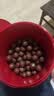 麦提莎（Maltesers）麦芽脆心牛奶巧克力 桶装520g 桶装 休闲零食 糖果 生日礼物 送礼 实拍图