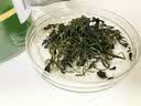 南京同仁堂小叶苦丁茶160g特级品质新茶明前头采嫩芽降糖血压脂清肝泡水喝 实拍图