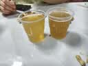 九支麦穗原浆精酿啤酒1L*6罐整箱礼盒装聚会九洛克信阳毛尖 实拍图