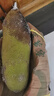晟容果蔬菠萝蜜整个当季新鲜水果应季热带海南黄肉菠萝蜜非红肉送礼 15-20斤【95%选择-性价比款】 50年老树果丨老农严选 实拍图
