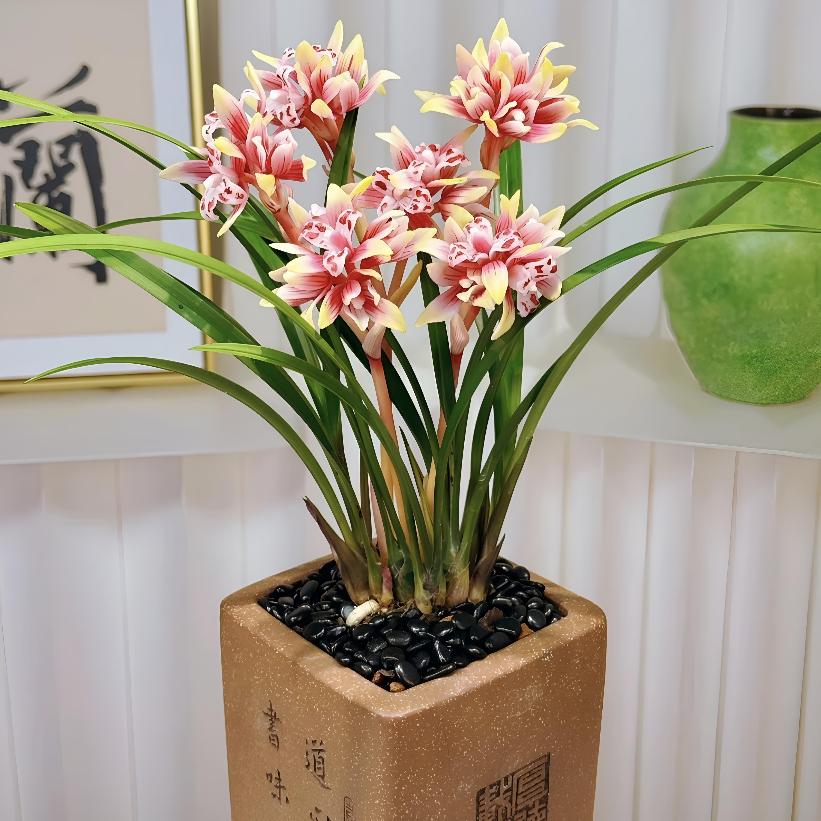 剃须刀飞利浦平替2026新款刮胡刀男士电动剃须刀生日礼物男剃须刀京东自营全身水洗刮胡刀理发器 【官方直降】顶配-灰 40核芯36万转-49叶刀头 实拍图