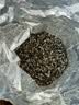 乐品乐茶明前特级碧螺春绿茶2026新茶嫩芽茶叶礼盒装250g自饮伴手礼送长辈 实拍图