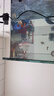 彻朗鱼缸静音水泵潜水泵循环泵侧吸泵海水缸小型家用过滤抽水泵18w 实拍图
