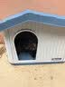 华元宠具（hoopet）户外猫窝四季通用室外防雨防晒全封闭式猫屋安全感流浪猫户外房子 【15斤】户外猫窝-蓝色（防雨防晒防风防寒） 实拍图