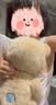 莉娜熊（TeddyTales）小熊玩偶毛绒玩具熊泰迪手作熊安抚娃娃送礼送人毕业礼物送女生 奶茶色（经典款） 中号站姿约30cm 实拍图