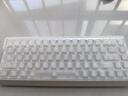 迈从（MCHOSE）Ace 68 V2磁轴键盘Gus同款RT电竞游戏低延迟60pro机械有线68键配列FPS双驱动无畏契约【教育优惠】 Ace 68 V2 超竞版雾透白 宝马磁轴+RT键 实拍图
