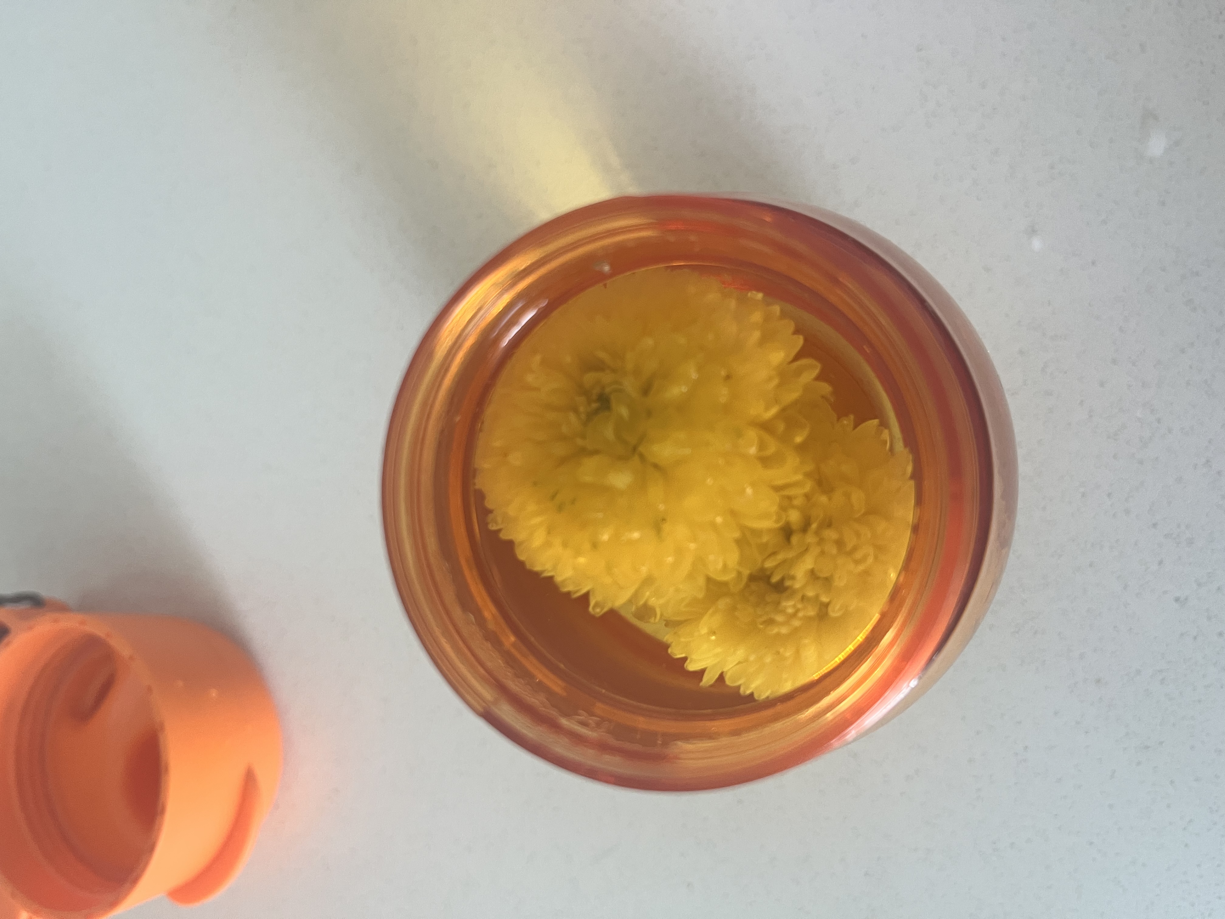 贡苑花草茶金丝小皇菊【约120朵】徽州皇菊黄菊特优级菊花养生茶叶35g 实拍图