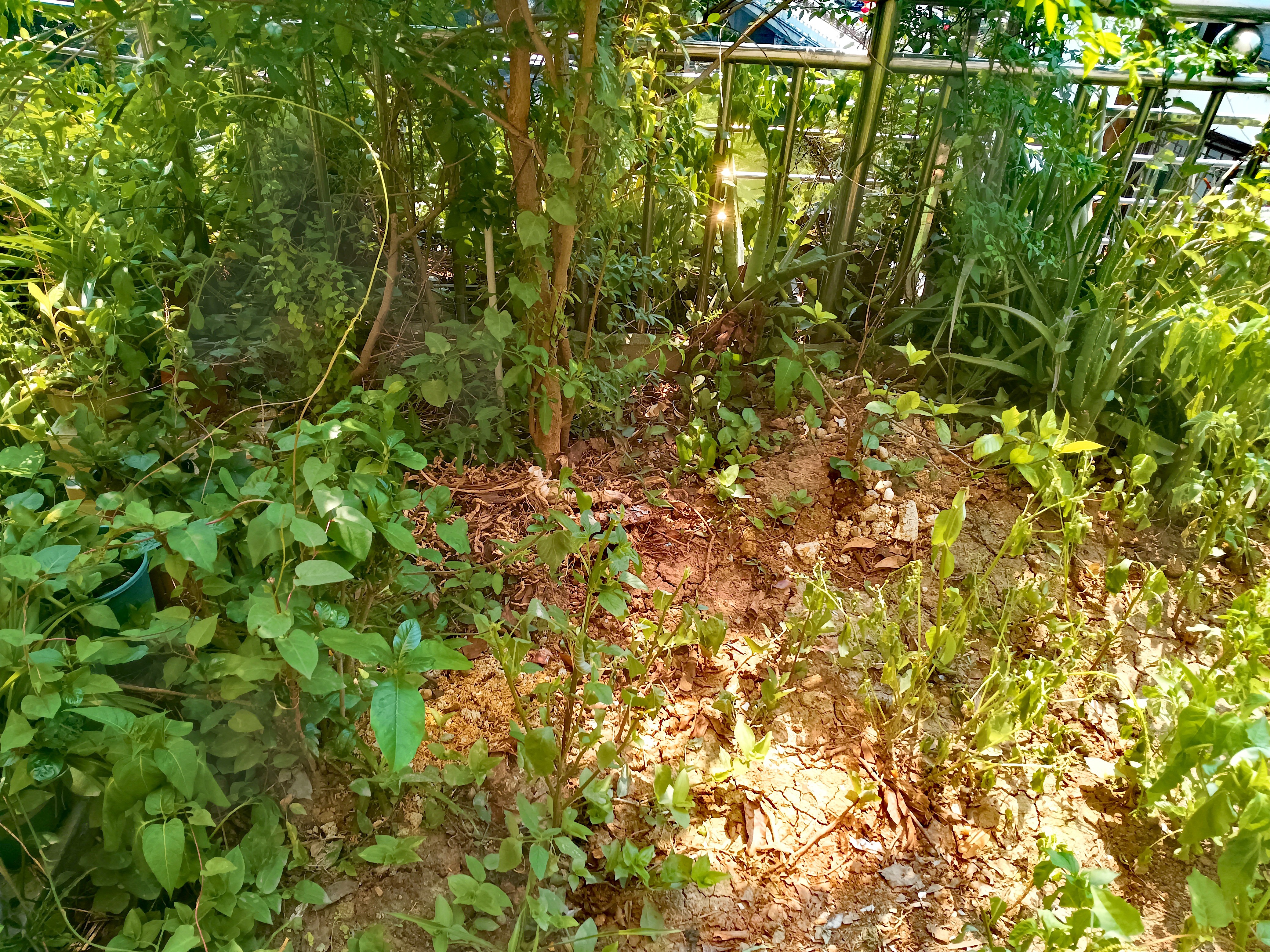 【京东物流】温湿度计京东物流家用数显高精度迷你简约版 智能电子温湿度计 实拍图