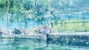 剑桥树12°可调节坐读写坐姿矫正器儿童写字姿势纠正小学生学习写作业防低头阅读书架去手影灯正姿台 实拍图