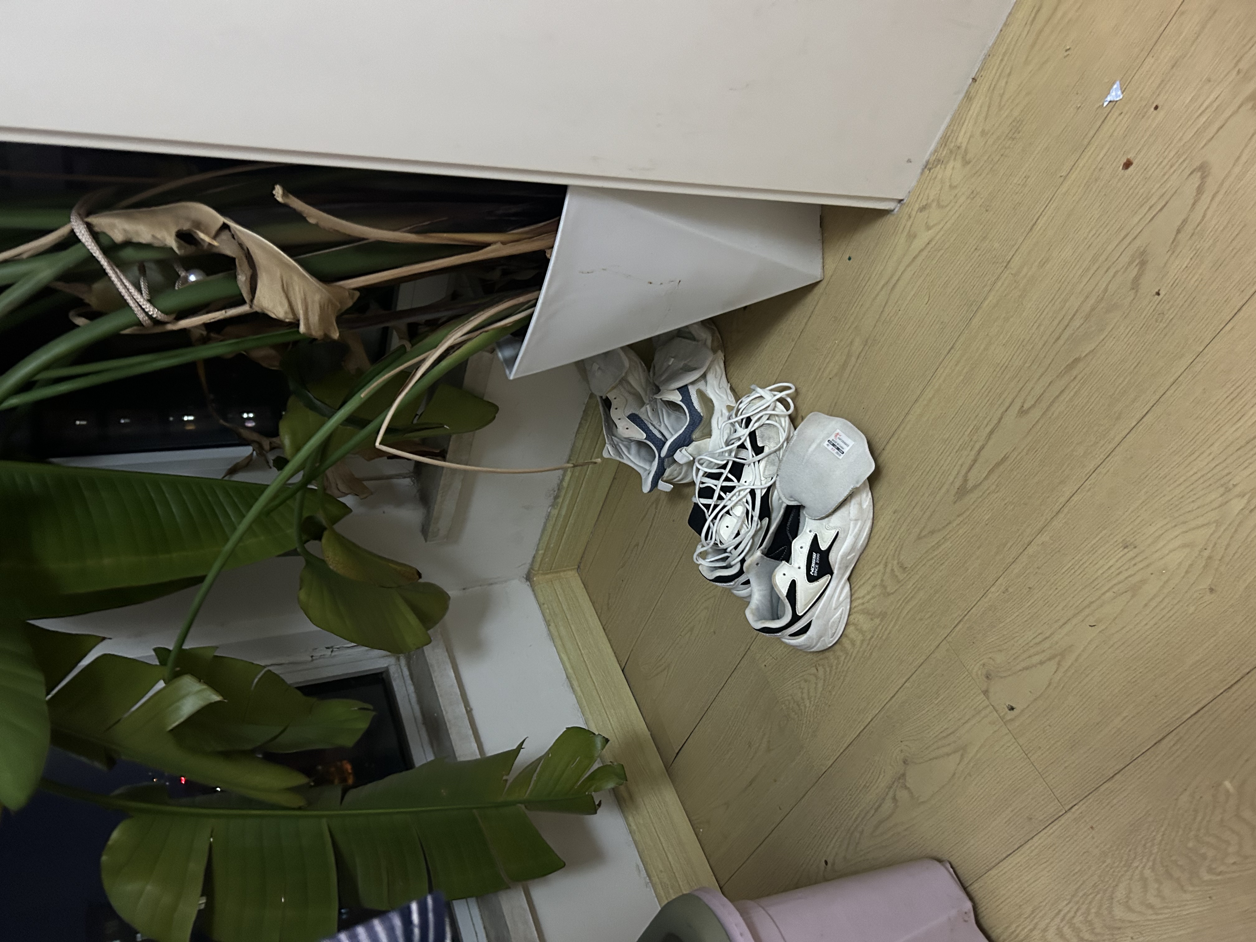 扬子洗鞋机全自动洗脱水一体刷鞋免拆鞋带全方位洗鞋神器可脱水洗衣机 象牙白全壁刷【鞋衣两用+蓝光洗涤+洗脱一体】 实拍图