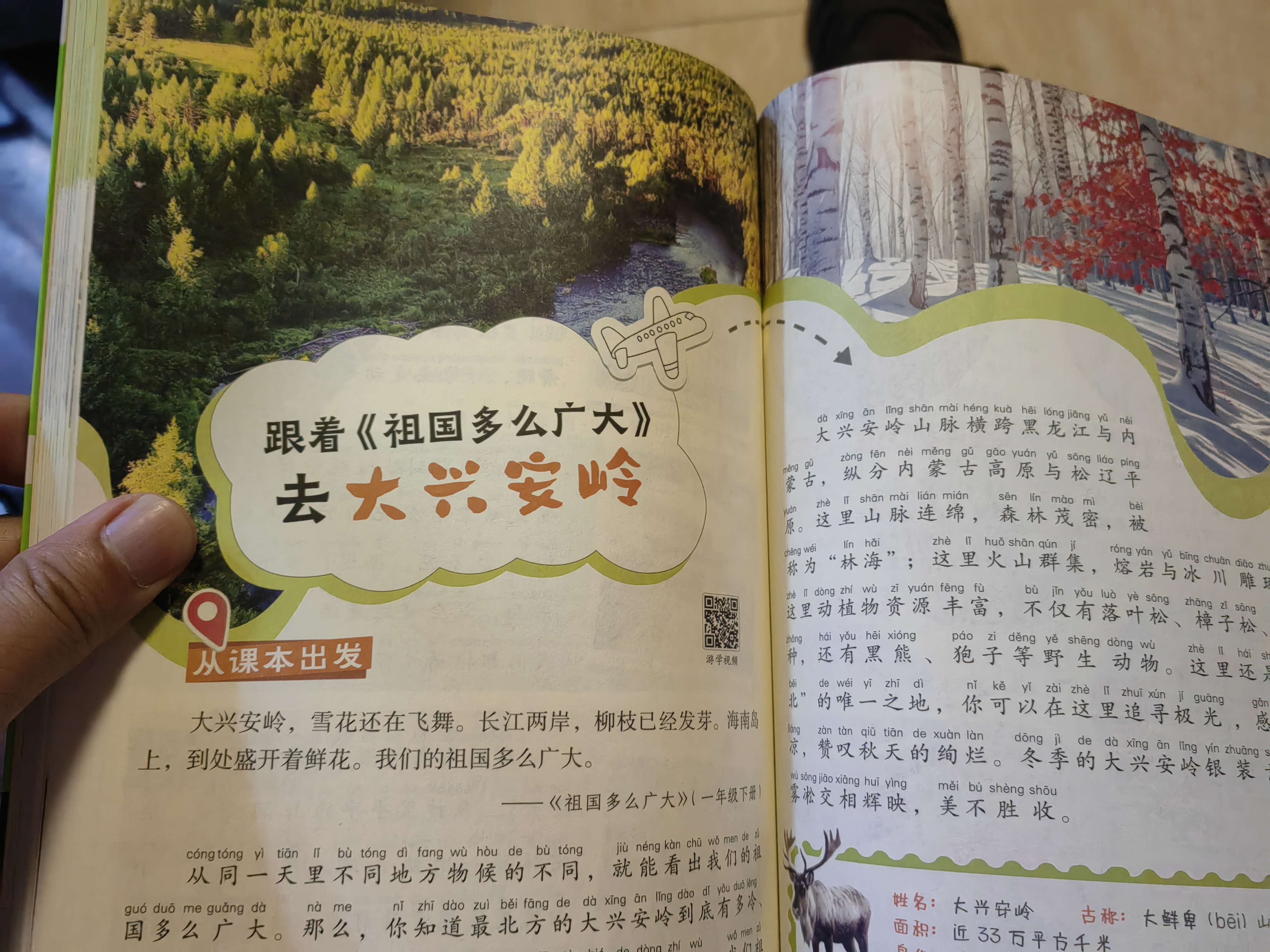 天星2026新版【跟着课本去旅行】疯狂阅读图说课本里的宝藏人物一二三四五六年级小学生同步课本全国通用全彩注音文史地理通识名人素材历史大人物 2026最新版【跟着课本去旅行】趣味游学天下 6本全套【一+ 实拍图