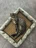 licheers猫狗窝凉席小型犬宠物猫咪睡垫夏季床垫泰迪中大型犬狗垫子 M号 实拍图