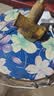 公牛（BULL）高防护防尘插座/插线板/插排/接线板 大间距孔位 可悬挂 无线GN-C3210（需自行接线和插头） 实拍图