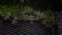 心相印【樊振东推荐】厨房用纸卷纸75节*8卷纸巾食品接触级 懒人抹布 实拍图