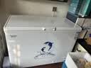 澳柯玛（AUCMA）307升单温冷柜家用减霜大冰柜 冷藏柜冷冻柜转换卧式冰箱雪糕 柜一级能效BC/BD-307HNE 以旧换新 实拍图