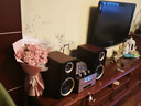 山水（SANSUI）M2发烧胆机音响CD/DVD播放机组合家庭桌面音响电子管功放蓝牙音箱大功率HIFI音响套装有源重低音炮 M2【4胆管功放+DVD+三分频音箱】 实拍图