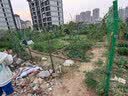 五兄弟铁丝网围栏荷兰网护栏网养鸡隔离高速养殖软塑1.2米高2.5mm粗10m 实拍图