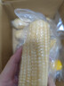 京鲜生&爷爷和月月一级果三色玉米单棒250g+*6棒共3斤真空包装源头直发 实拍图