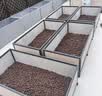 史丹利大号陶粒5L垫底养花专用花盆铺面多肉花卉种花陶土颗粒园艺陶粒土 实拍图
