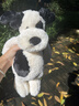 Jellycat拉弗荻小狗海盗狗黑白小狗毛绒玩偶安抚玩具送礼七夕情人节礼物 拉弗荻小狗 Medium 实拍图