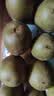 佳沛（zespri）新西兰 阳光金奇异果12粒特大果单果124-146g 猕猴桃水果礼盒 实拍图