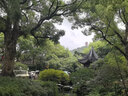 十月稻田 寒地之最 东北长粒香大米 8斤（东北大米 香米 4kg/公斤） 实拍图