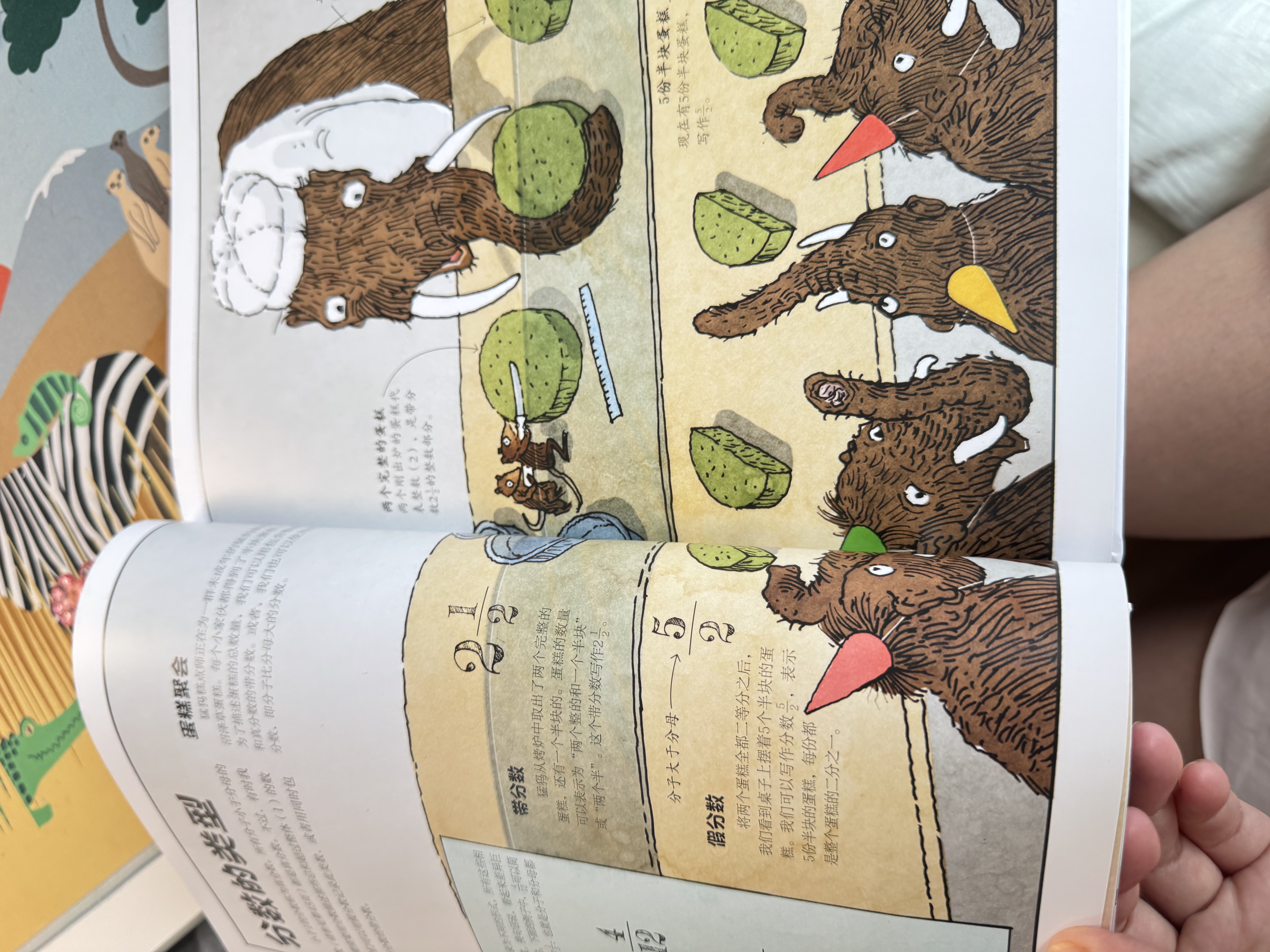 DK数学运转的秘密 DK科普百科 课外读物  7-14岁小猛犸童书  实拍图