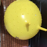 波比超人早教羊角球儿童感统训练器材幼儿园宝宝跳跳球弹力蹦蹦球充气玩具 实拍图