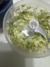 荣事达（Royalstar）捣蒜器电动蒜泥神器家用压蒜器小型绞肉机蒜泥捣碎器打蒜拉蒜器 【基础款 0.3L 】-家用绞肉蒜 实拍图
