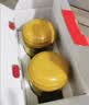 原始黄金新疆正品骆驼奶粉330g*2罐益生菌驼乳粉无蔗糖中老年儿童成人礼盒 实拍图