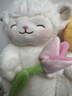 名创优品（MINISO）羊咩咩系列-暖白小羊公仔毛绒公仔玩具抱枕生日礼物女 抱郁金香款 实拍图
