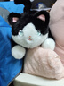 BURDO豆包AI智能对话机器人熊猫猫咪玩偶毛绒玩具儿童早教女孩生日礼物 AI摇尾奶牛猫【大模型永久免费更新】 国内外通用【WIFI版】多种语言+情绪表达 实拍图