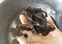 十月稻田 东北黑木耳 500g 菌菇  黑龙江东宁特产 肉厚无根 火锅煲汤炒菜 实拍图