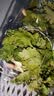 密云农家 本地自种香菜100g 鲜摘 新鲜时令蔬菜生鲜 实拍图