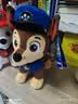 汪汪队立大功（PAW PATROL）毛绒玩具狗狗陪睡玩偶经典款阿奇站姿公仔男女孩儿童生日礼物 实拍图