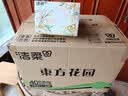 洁柔抽纸 繁花系列3层100抽*40包 可湿水面巾纸 柔韧纸巾卫生纸 整箱 实拍图