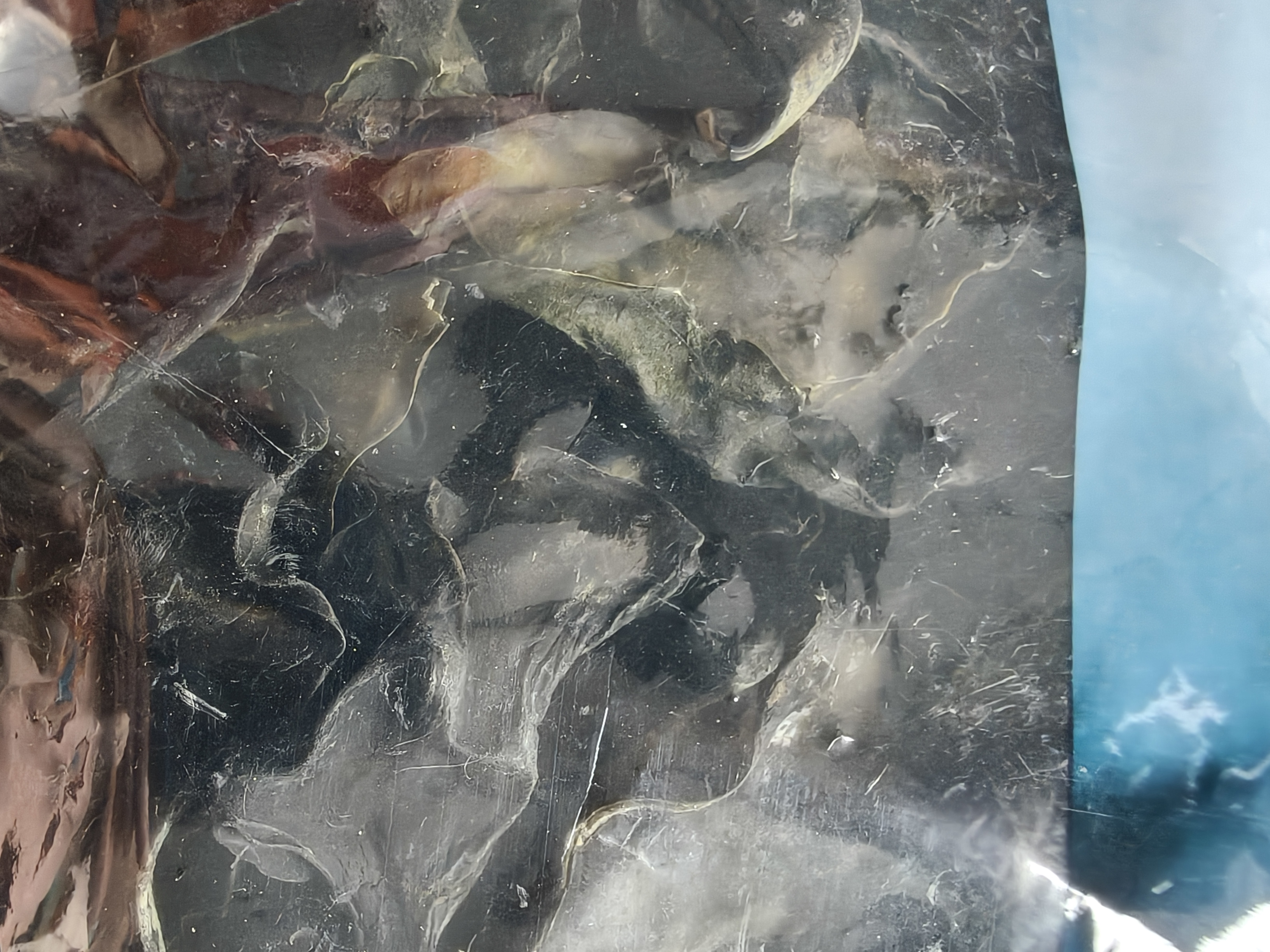 方家铺子中华老字号 短海带头120g 精选海带头根部10cm 特厚叶片 凉拌煲汤 实拍图