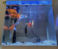SEA STAR海星鱼缸水族箱hx380f/500f三合一潜水泵过滤器hx2160带制氧 HX-2160+380管件 配梯形斜角卡槽 晒单实拍图