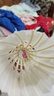 红双喜DHS羽毛球比赛耐打复合软木鹅毛羽毛球12只装EG12 实拍图