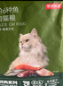 京东京造猫粮鱼肉6种全价鲜肉猫粮成猫幼猫鱼油美毛长肉护肤三文鱼2kg 实拍图