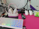 雷蛇（Razer）炼狱蝰蛇V4pro专业版 Niko联名款 无线游戏鼠标 超轻量化 FPS职业电竞 光学传感器 旗舰新品 实拍图