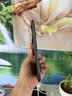 HUAWEI Mate 70 Air  12GB+256GB 曜金黑 超薄长续航 7英寸华为临境大屏 红枫原色影像 华为手机 实拍图