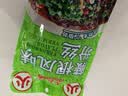 大龍燚蕨根粉丝150g免泡易煮火锅凉拌0脂清爽解腻素食劲道口感 实拍图
