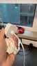 Apple/苹果 20W type-c充电器 苹果usb-c充电器原装手机快充头 旗舰店苹果iPhone 17 Pro Max充电器 实拍图