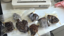 得力抽真空封口一体机小型家用真空包装机食品塑封机真空机腊肉密封机保鲜猫狗粮防潮 六边形战士 实拍图